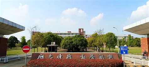 武汉城市职业学院-掌上高考
