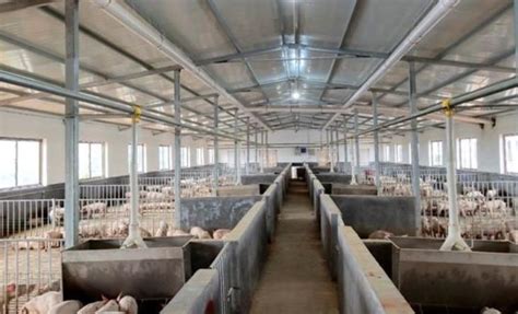 猪饲料产量同比收窄！猪真的少了？10月份全国猪饲料产量环比下降0.7%农业资讯-农信网