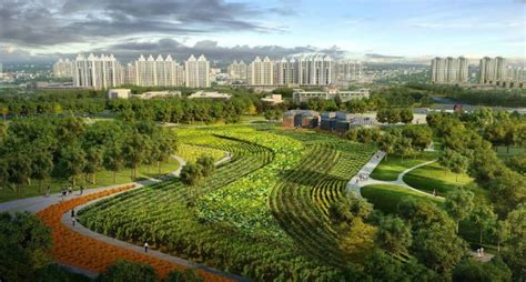 重特色 强优势 清江浦区打造都市型现代农业发展新格局 - 深圳市绿然展业发展有限公司