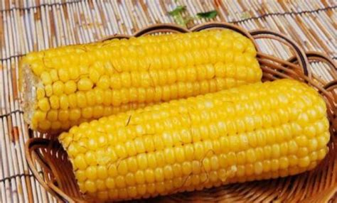 玉米大丰收多到吃不完，只需要这样做，一年四季都有新鲜玉米吃_凤凰网视频_凤凰网