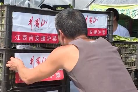 实拍吉安梅塘镇农村农历七月庙会“朝拜”_腾讯视频