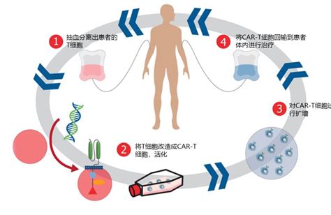 简述基因治疗的最新临床研究进展_生物器材网