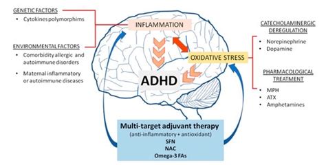 什么是ADHD-京东健康