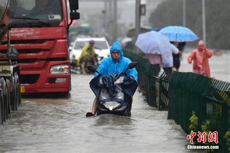 浙江余姚降暴雨城区超7成被淹 - 青岛新闻网
