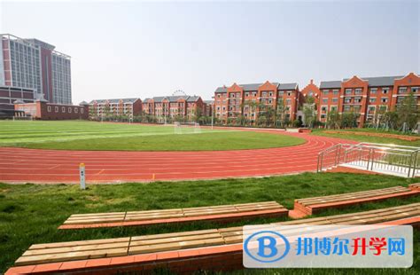 武汉海淀外国语实验学校初中部2023年招生计划