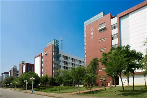 柳州职业技术学院是本科大学吗？排名多少？学院口碑评价如何？