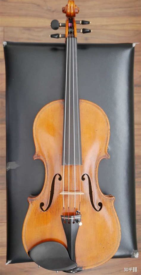小提琴初学者应该网购一把什么样的小提琴？ - 知乎