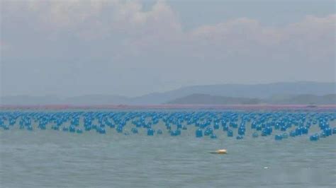广东汕头南澳岛海上渔村风光mp4格式视频下载_正版视频编号167287-摄图网