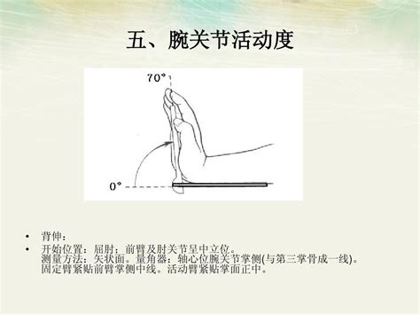 跖屈和背伸的图图片