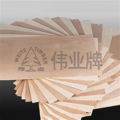 2019中国十大板材品牌总排名榜|木业|板材|千年舟_新浪新闻