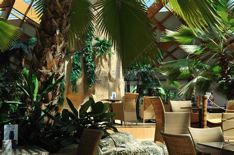 美丽的咖啡餐厅,棕榈树,小瀑布桥高清图片下载-正版图片300738897-摄图网