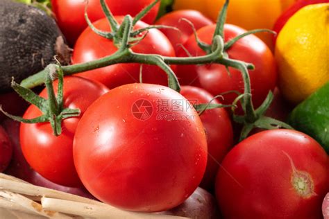一组健康红番茄高清图片下载-正版图片307215582-摄图网