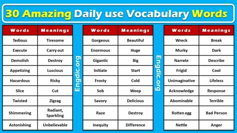 20 New Vocabulary Words With Meanings - Vocabulary Point