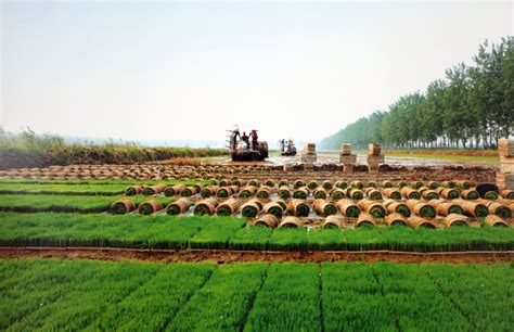 南京国家农创中心：科技赋能现代农业 神奇的“植物工厂”让种菜变简单_新华报业网