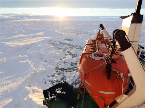 23岁女子被困北极荒岛两年，演绎史诗级求生… - 360娱乐，你开心就好