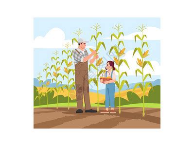 农村卖玉米图片,农村收玉米图片,农村玉米堆图片_大山谷图库