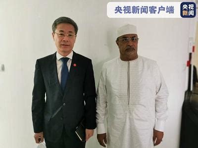 中国驻几内亚大使：政变领导人敦布亚承诺遵守同中方的各种协议