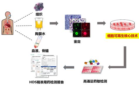干货：循环肿瘤细胞（CTC）的检测策略-默禾医疗科技（上海）有限公司-创新 合作 共赢