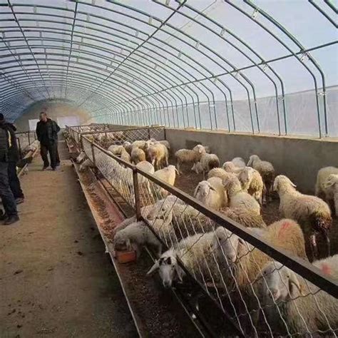养殖厂房-湖南省吉泰农牧有限公司