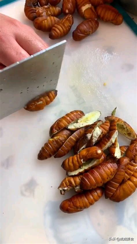 怎么吃蚕蛹 ，酥香好吃，一口一个，这样做简单不用去黑心 | 说明书网