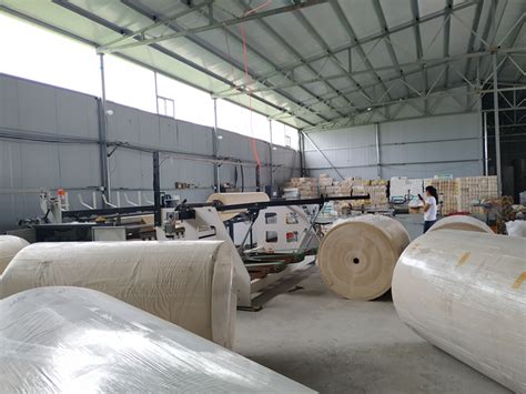 保定华康纸业4万吨卫生纸项目 - 郑州运达