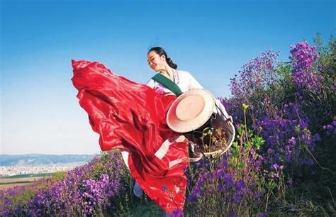 经典朝鲜族舞蹈 延边歌舞团