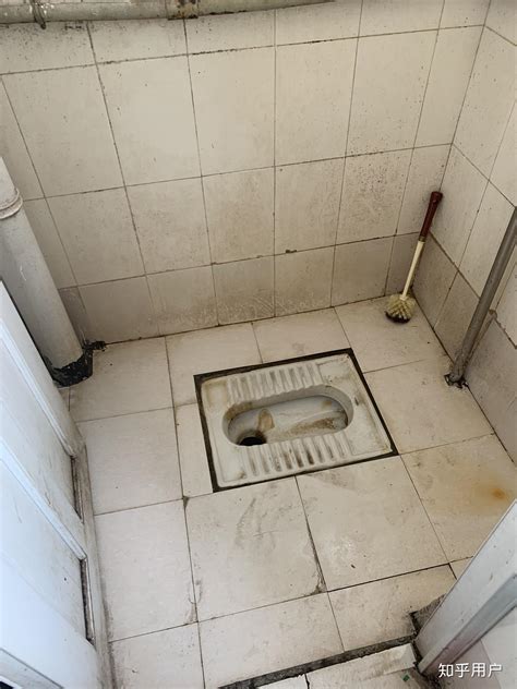 神奇！印度的厕所-照片中国－老照片博物馆-搜狐博客