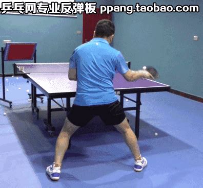 【仅此一次】【乒乓网】乒乓球专业反弹板【6.11晚上21点秒杀】