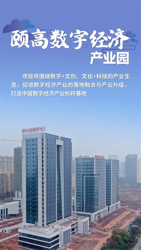 衡阳市华新医院-高新区医疗卫生-衡阳高新技术产业开发区
