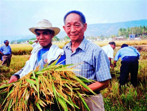 袁隆平成功在迪拜沙漠种植成海水稻, 外国人感叹: 中国好厉害