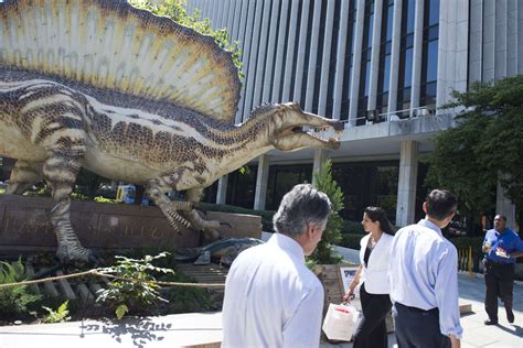 巴塔哥巨龙最大恐龙背后的真相_凤凰网