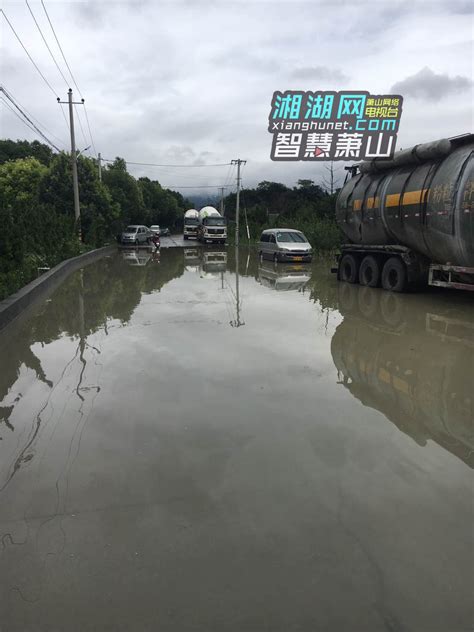 “查帕卡”带来强降雨 阳西农田、鱼塘受浸严重 -阳西县人民政府网站