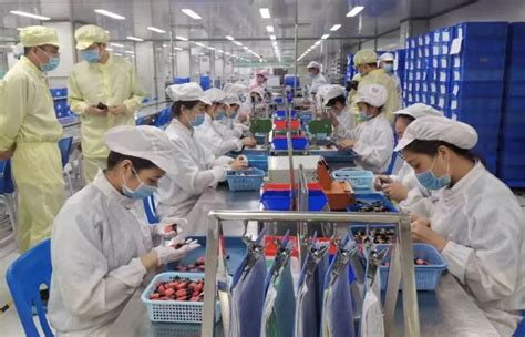 广东中烟中心成品库工程正式开工，进一步扩大广州卷烟厂规模__财经头条
