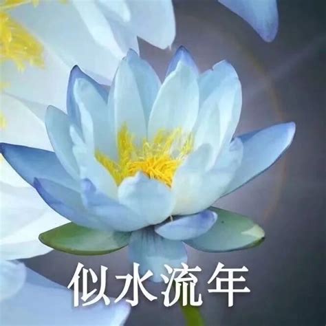 非主流老年头像
