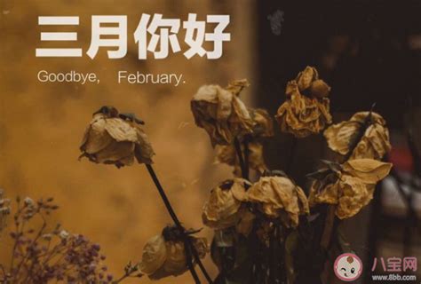 红色2月14日情人节宣传214情人节海报图片下载 - 觅知网
