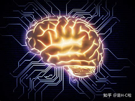 2022世界人工智能大会｜脑·机智能融合——让大脑连接未来，脑科学主题论坛_科技_神经科学学会_科学研究院