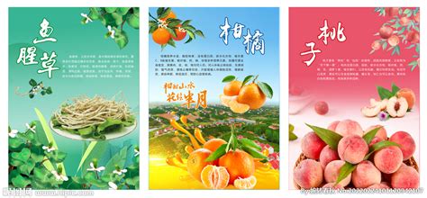 选“六美” 尽显美丽乡村新面貌-广东省农业农村厅网站