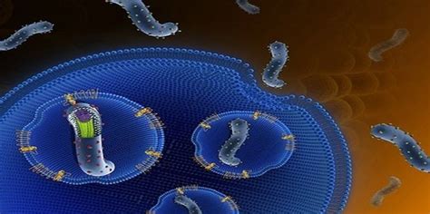 北京疾控中心：埃博拉一旦进京监测系统可发现|埃博拉_新浪新闻