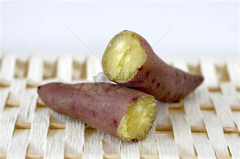 怎么种红薯才能长得大 红薯怎么种才结薯多-趣丁网