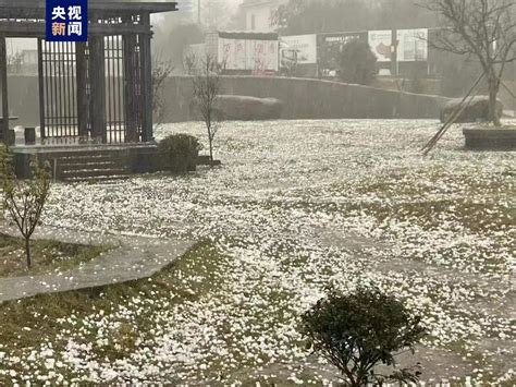 甘肃靖远县出现冰雹 农作物受灾严重-高清图集-中国天气网
