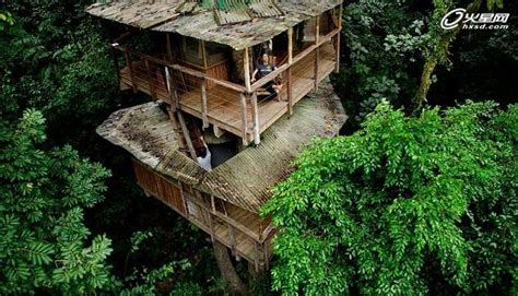 建在树上的房子！热带雨林里的梦幻树屋村 - 建筑 | 火星时代