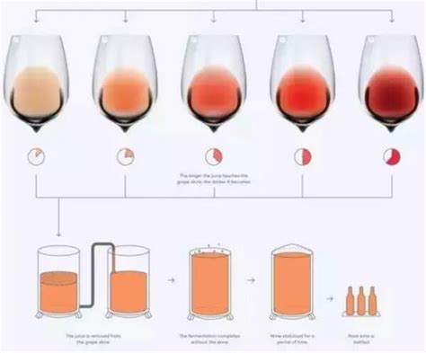 葡萄酒的酿造方法_360新知