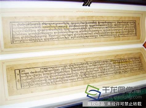 这本藏文书记录了雪域深处的藏医藏药-千龙网·中国首都网
