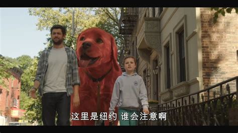 这么大的狗子，你想撸吗《大红狗克里弗》_高清1080P在线观看平台_腾讯视频