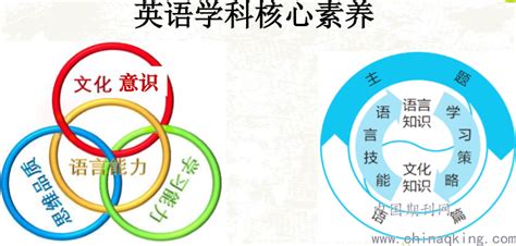 基于英语学习活动观初中英语话题整合复习课的教学实践--中国期刊网