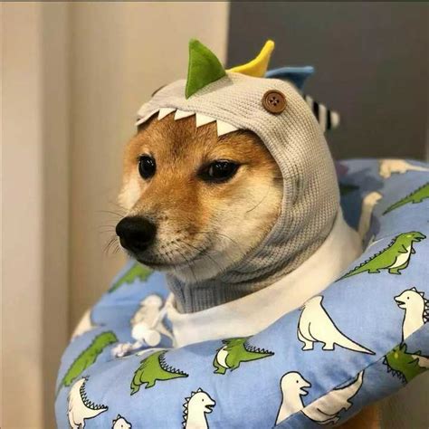 头像沙雕非主流