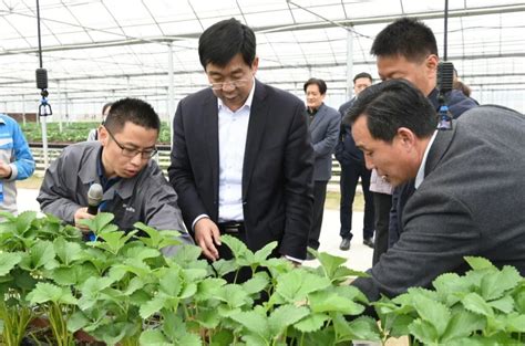宁夏多项举措支持农产品加工业提档升级 - 各地产经 - 中国产业经济信息网