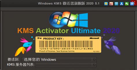 HEU KMS Activator电脑版下载-HEU KMS Activator（激活工具）PC下载v24.6.1-59系统乐园