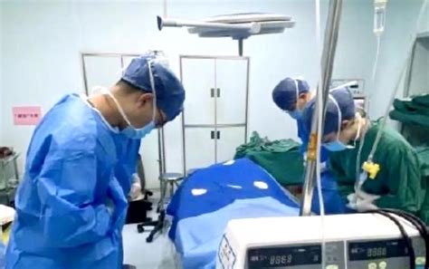 24岁研究生去世，家人捐献其器官救5人_七环视频_澎湃新闻-The Paper