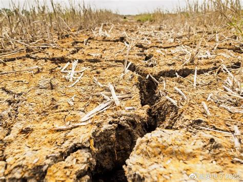 全球干旱区分布特征及成因机制研究进展
